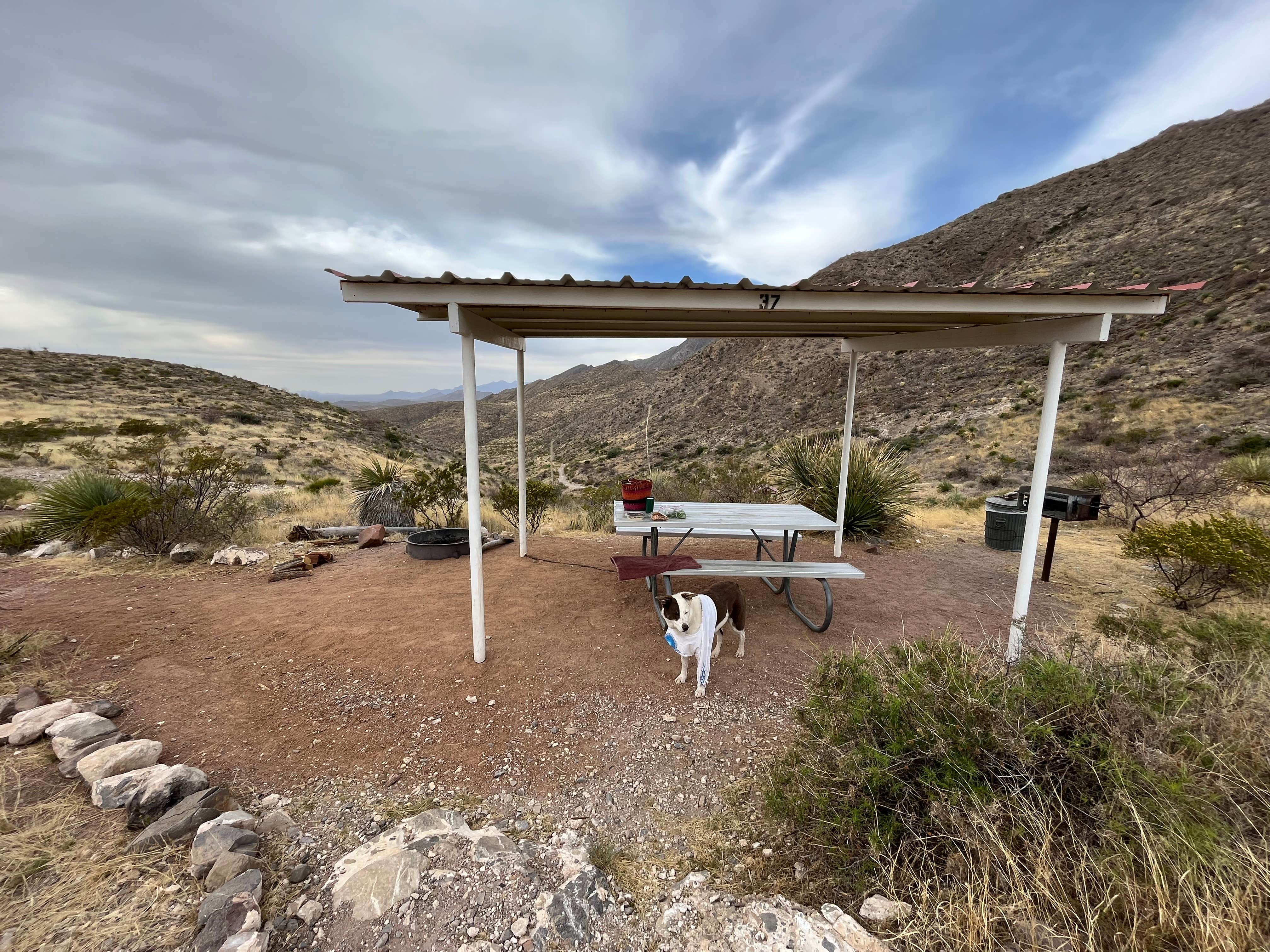 Deana C.'s photo of camping with pets at Franklin Mountains State Park Campground near Radium Springs, NM