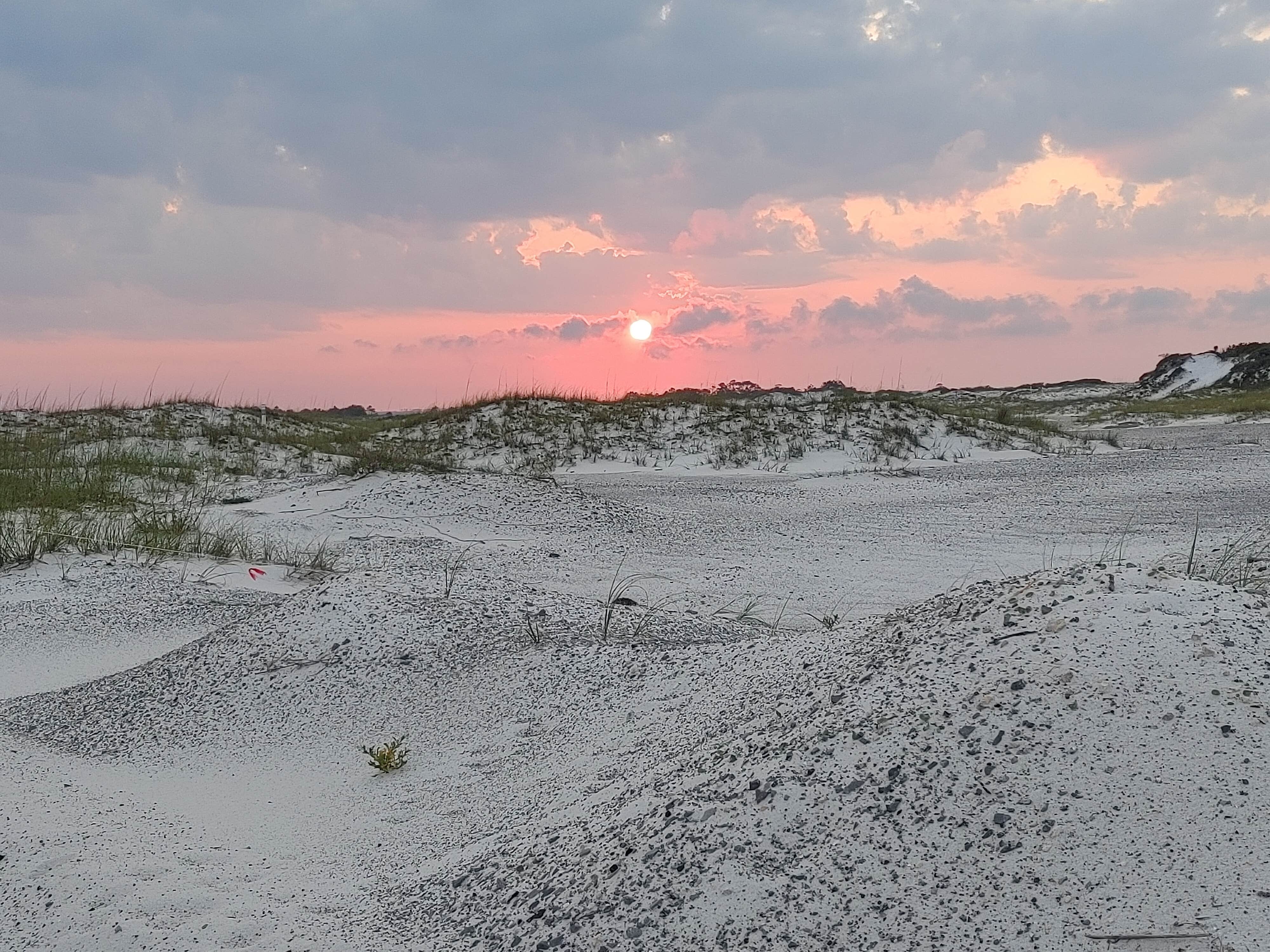 Camper submitted image from Pensacola Beach RV Resort - 3