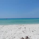 Review photo of Pensacola Beach RV Resort by Teresa S., May 20, 2022