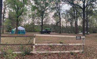 alicia's photo at Camping out in Country near Branford, FL