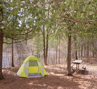Camper-submitted photo from Ash River — Kabetogama State Forest