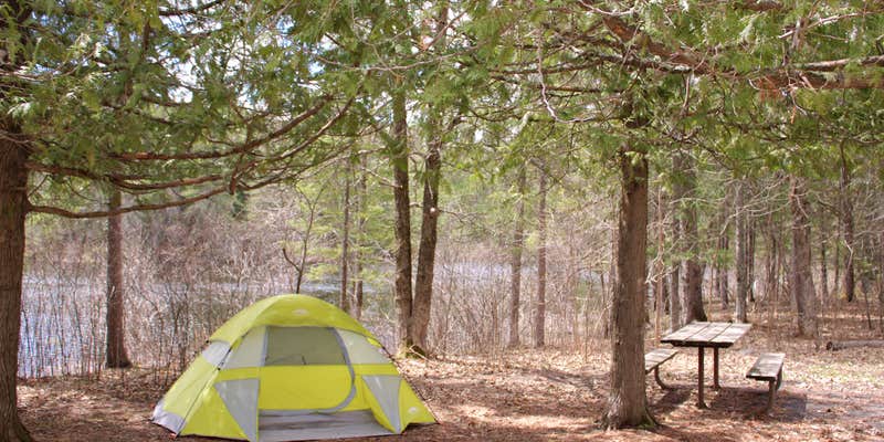 Camper submitted image from Ash River Campground