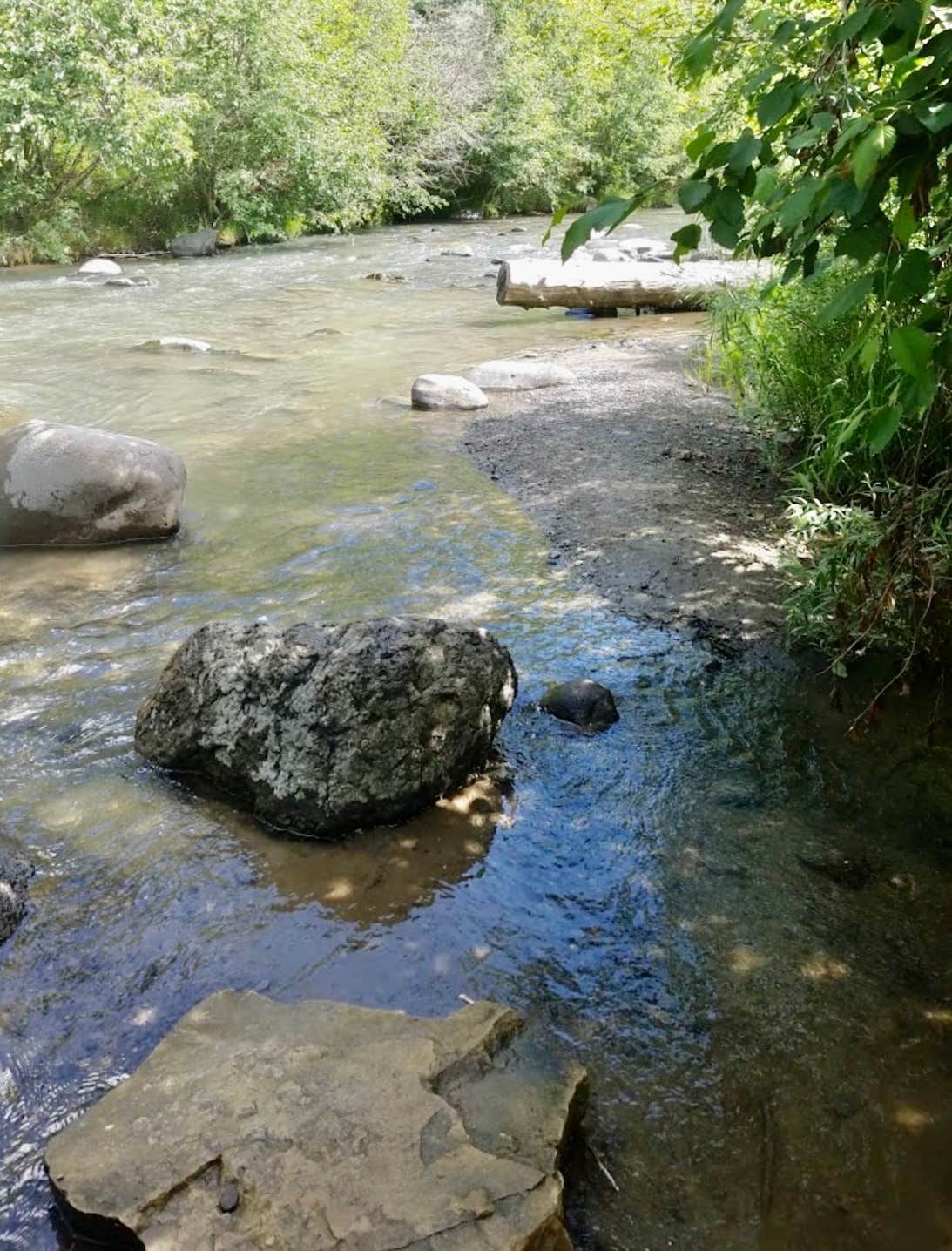 Camper submitted image from Blanco River Group Campground - 3