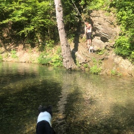 Nearby stream to explore with swing and swimming hole
