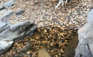 Penny A.'s photo of camping with pets at Cossatot Falls Campsites — Cossatot River State Park - Natural Area in Arkansas