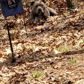 Review photo of Big Meadows Campground — Shenandoah National Park by Mallory H., May 20, 2022