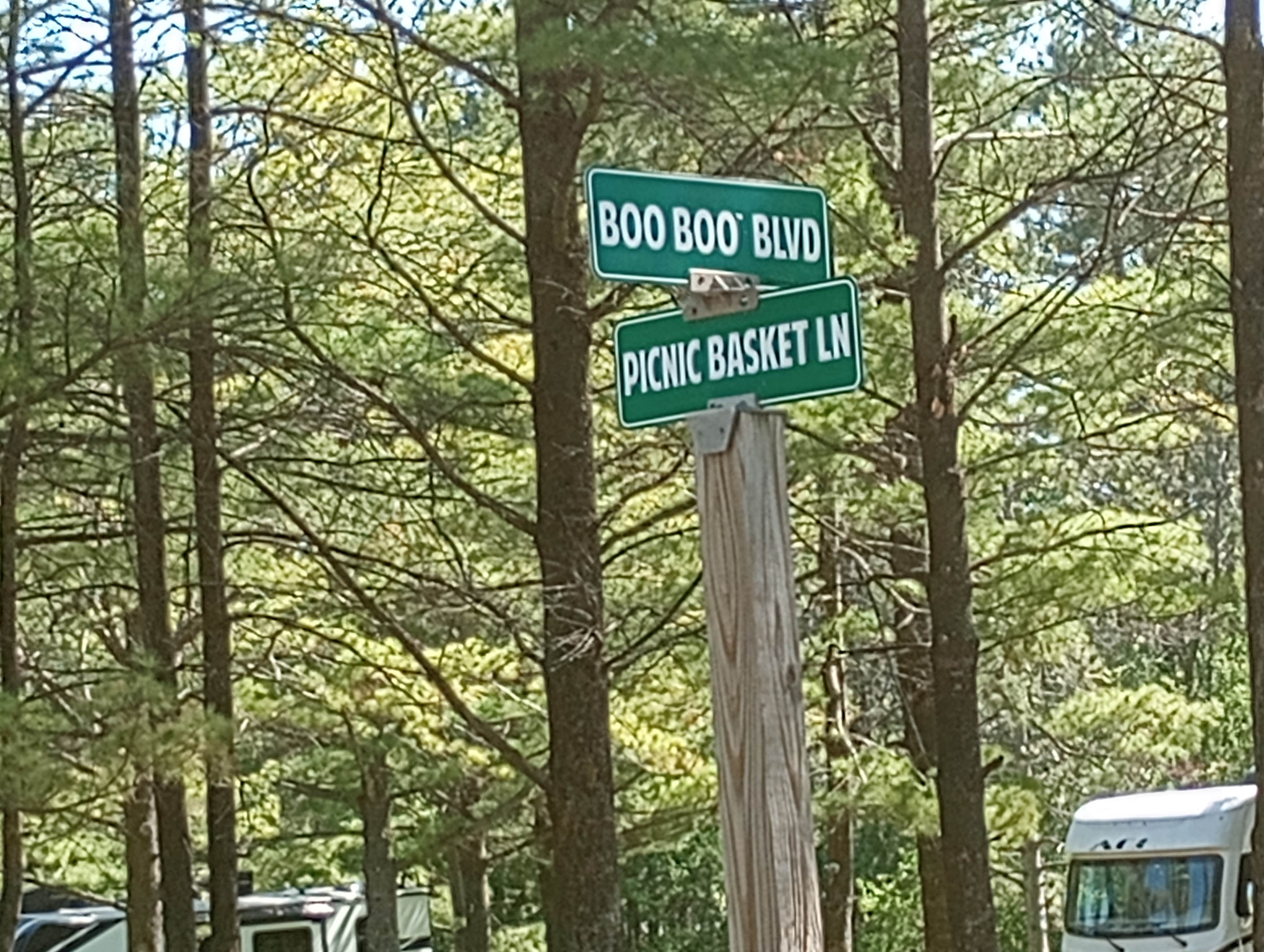 Camper-submitted photo at Jellystone Park Warrens near Black River Falls, WI