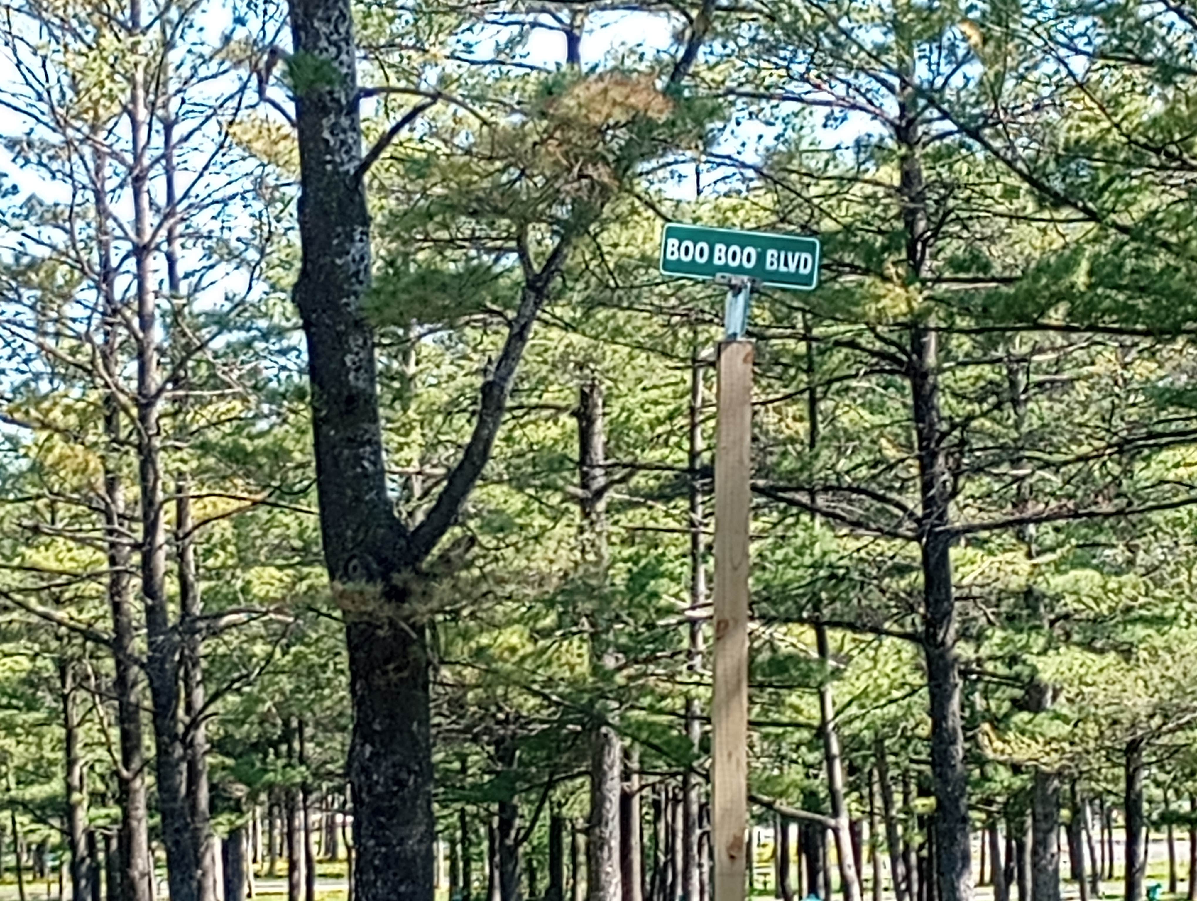 Camper-submitted photo at Jellystone Park Warrens near Black River Falls, WI