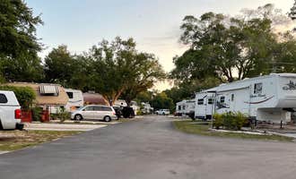 Camping near Northeast St Pete Sprinter Van or Small Camper Spot: Scottish Traveler RV Park, Largo, Florida