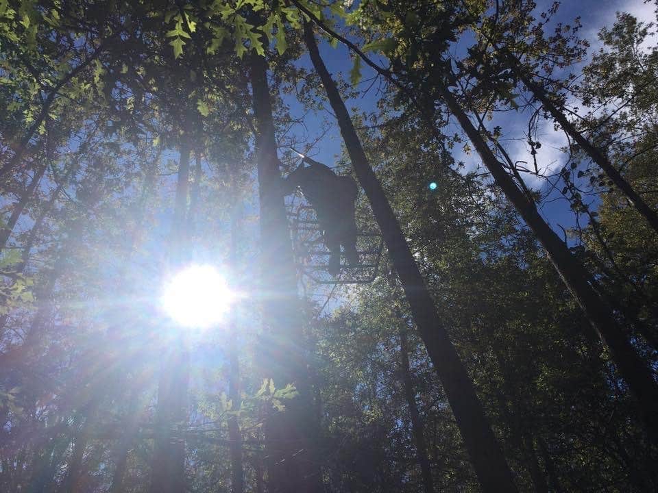 Camper-submitted photo at Tom Merrill Recreation Area near Bossier City, LA