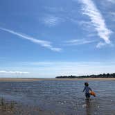 Review photo of Hammonasset State Park Campground by Bianca M., July 14, 2018