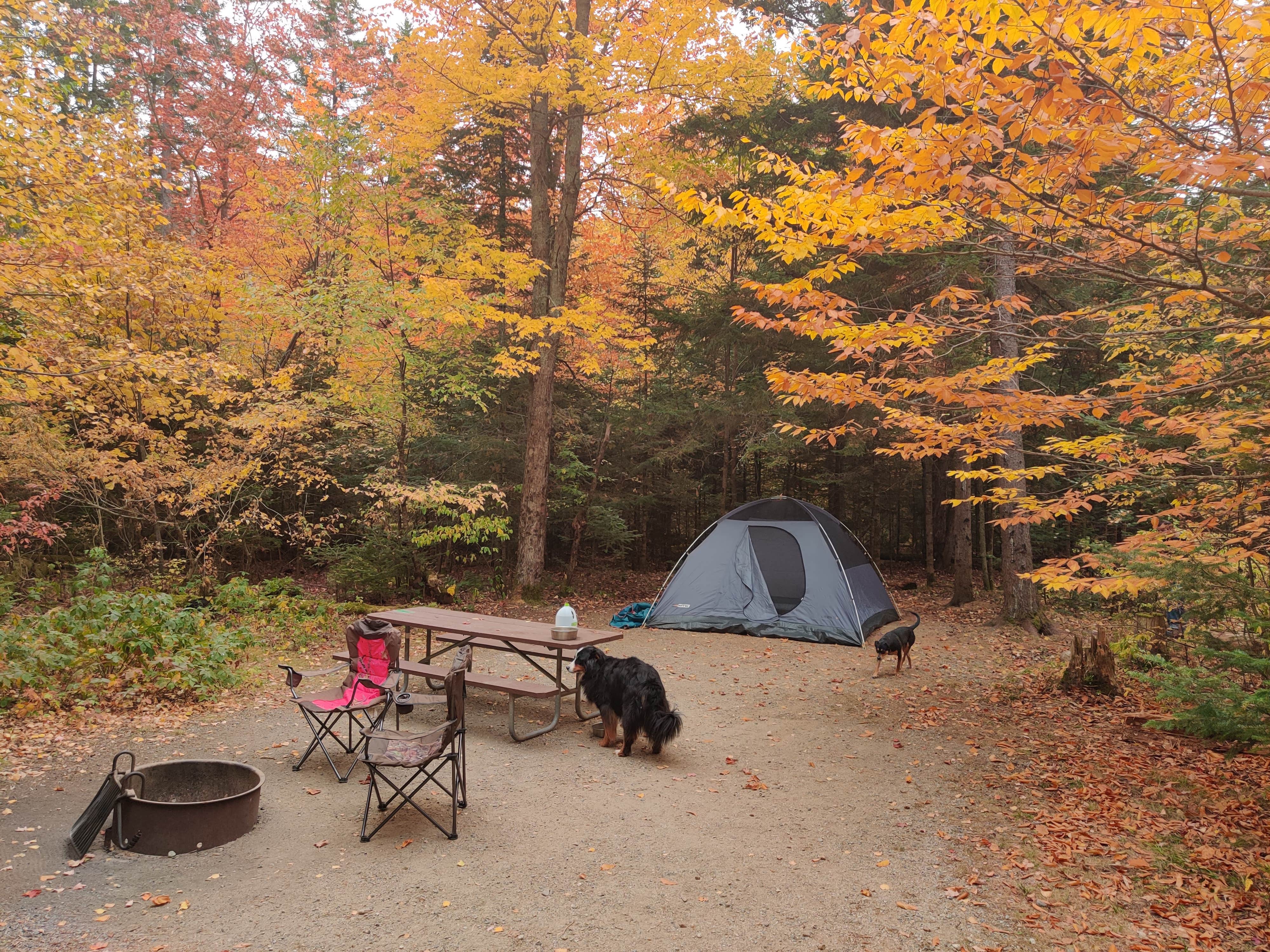 Camper-submitted photo at Sugarloaf 1 Campground near Randolph, NH