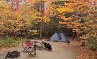 Samantha C.'s photo at Sugarloaf 1 Campground near White Mountain National Forest