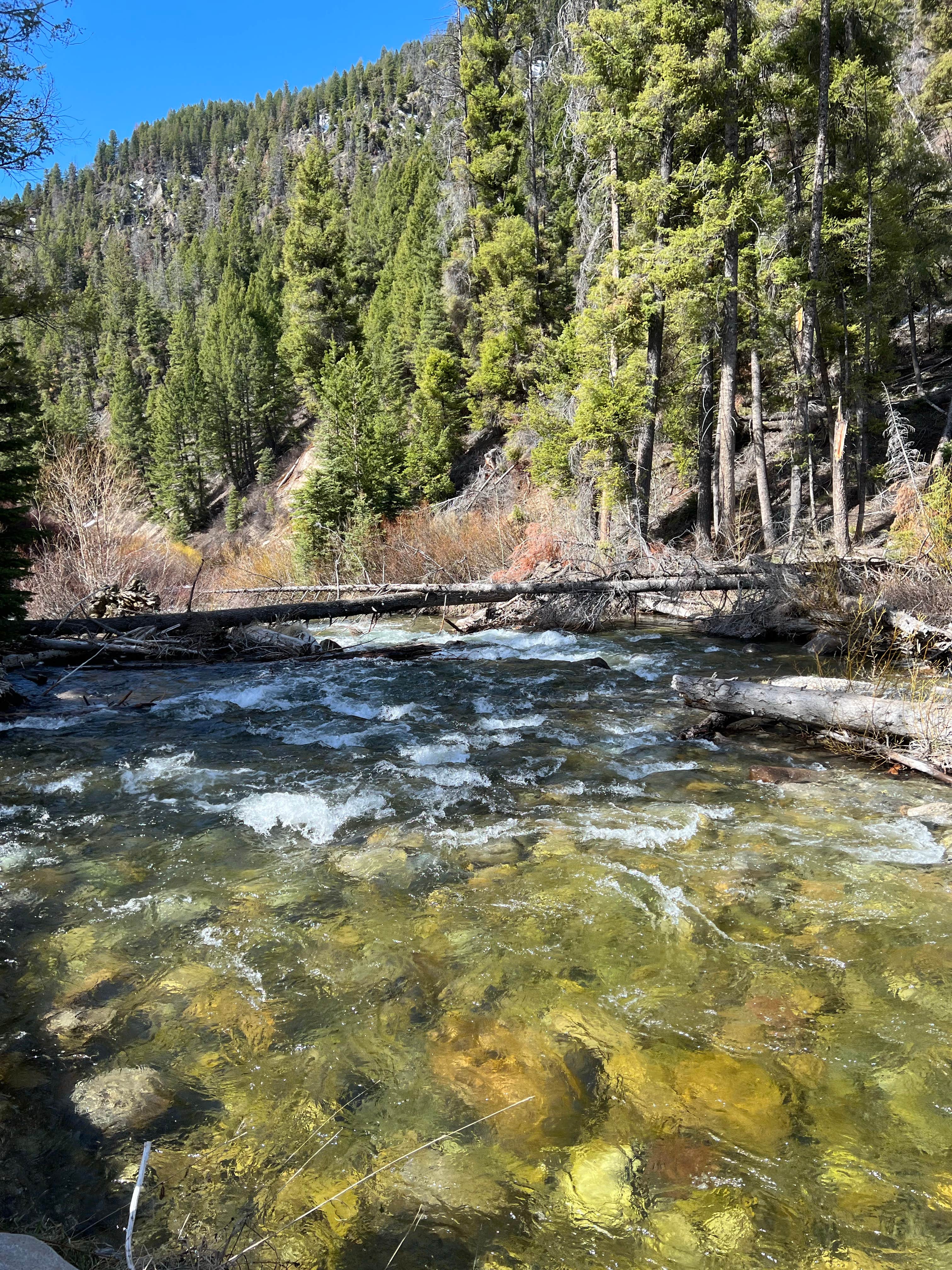 Camper-submitted photo at Caribou Campground near Eureka, MT