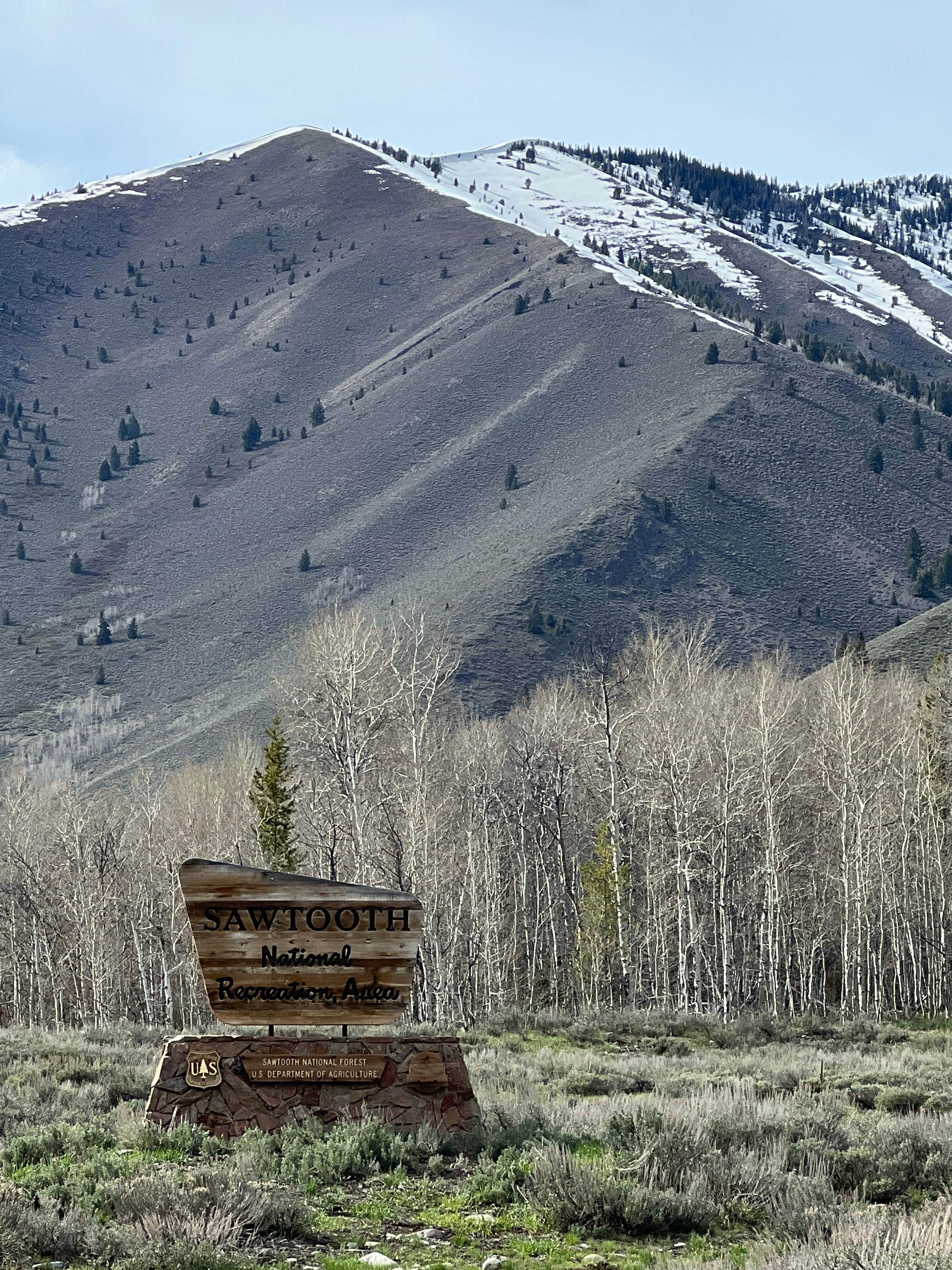 Camper submitted image from Caribou Campground - 5