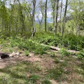 Review photo of Snowslide Campground by Toni  K., May 20, 2022