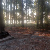 Review photo of Poplar Point Campground — Jordan Lake State Recreation Area by Tyler E., May 21, 2022