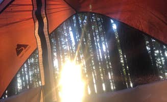 Tyler E.'s photo at Poplar Point Campground — Jordan Lake State Recreation Area near Hillsborough, NC