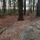 Review photo of Poplar Point Campground — Jordan Lake State Recreation Area by Tyler E., May 21, 2022