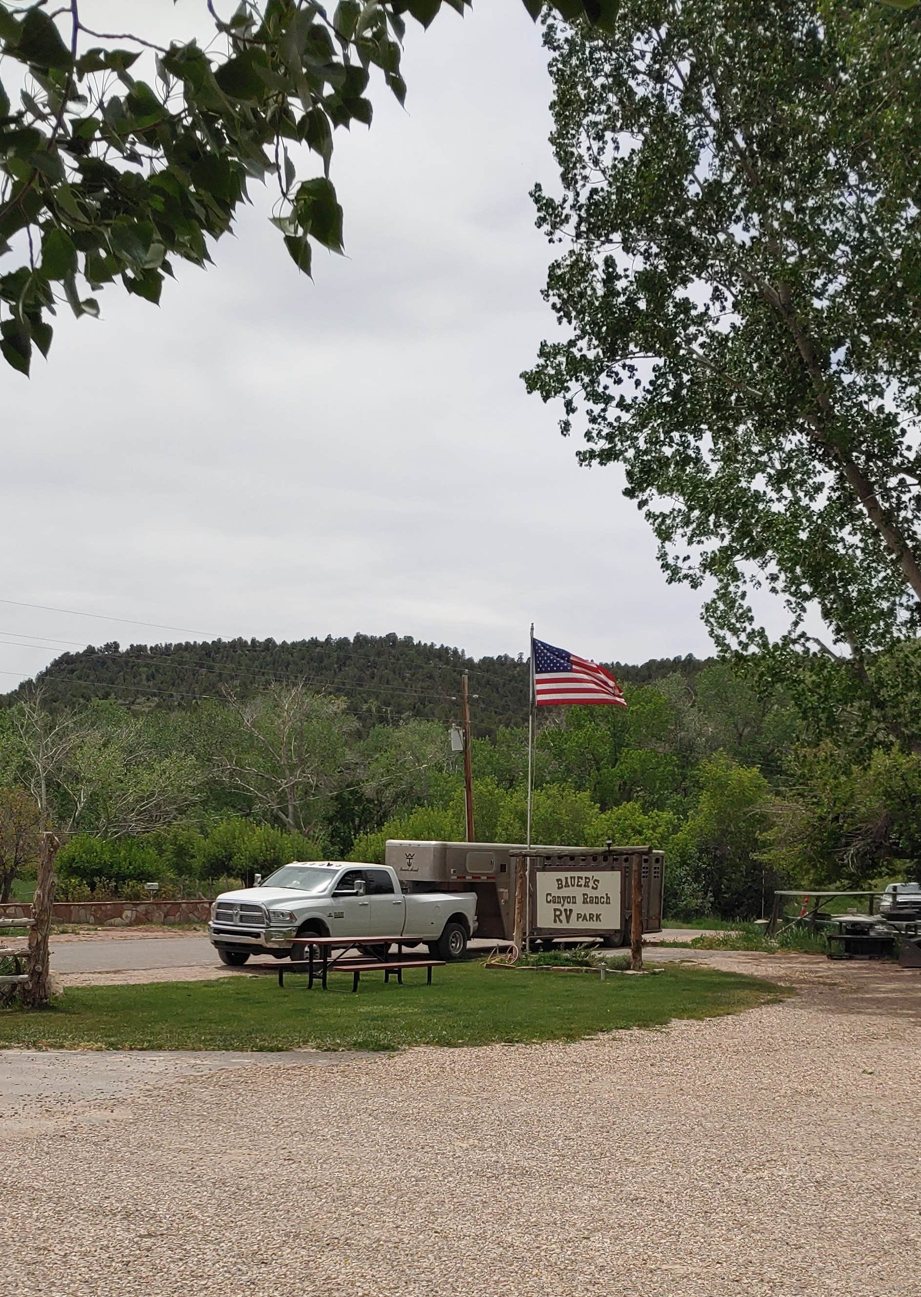 Camper submitted image from Bauers Canyon Ranch RV Park - 4
