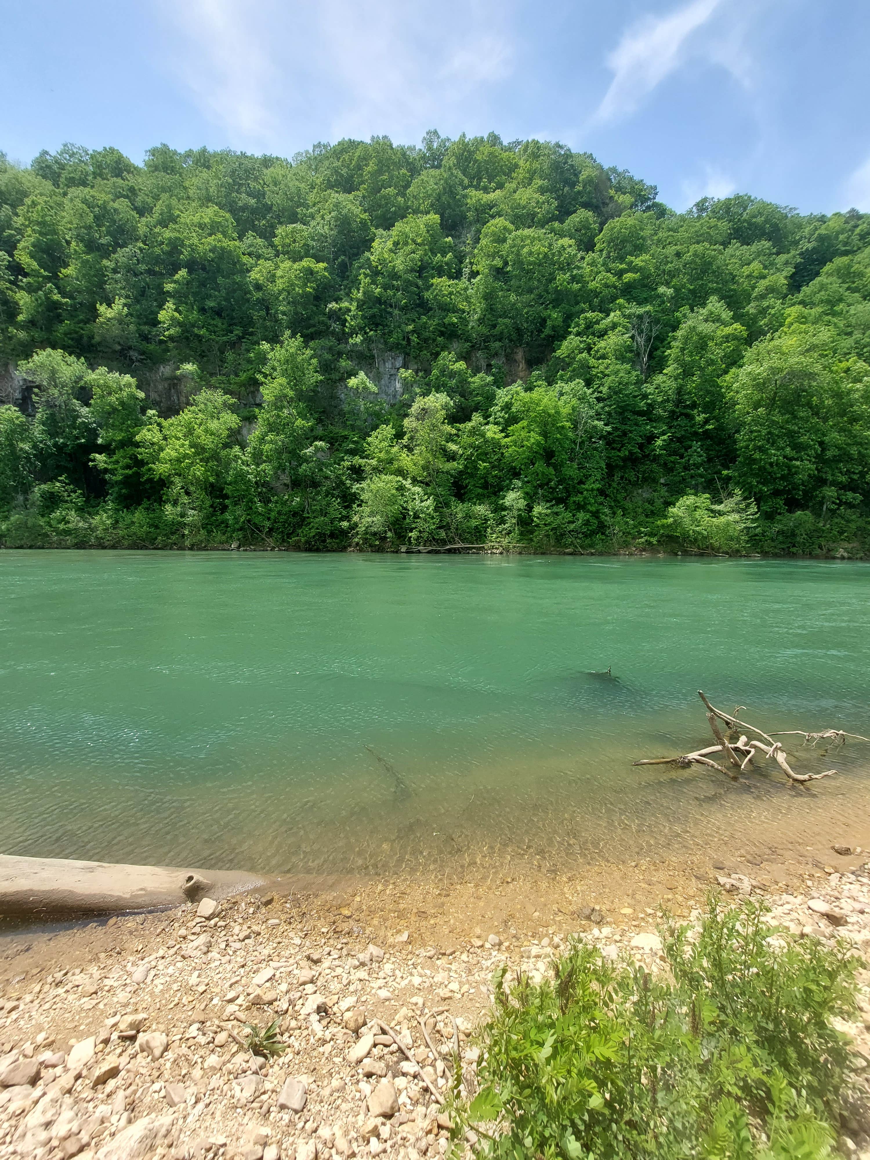 Camper submitted image from Log Yard Campground Backcountry Camping — Ozark National Scenic Riverway - 1