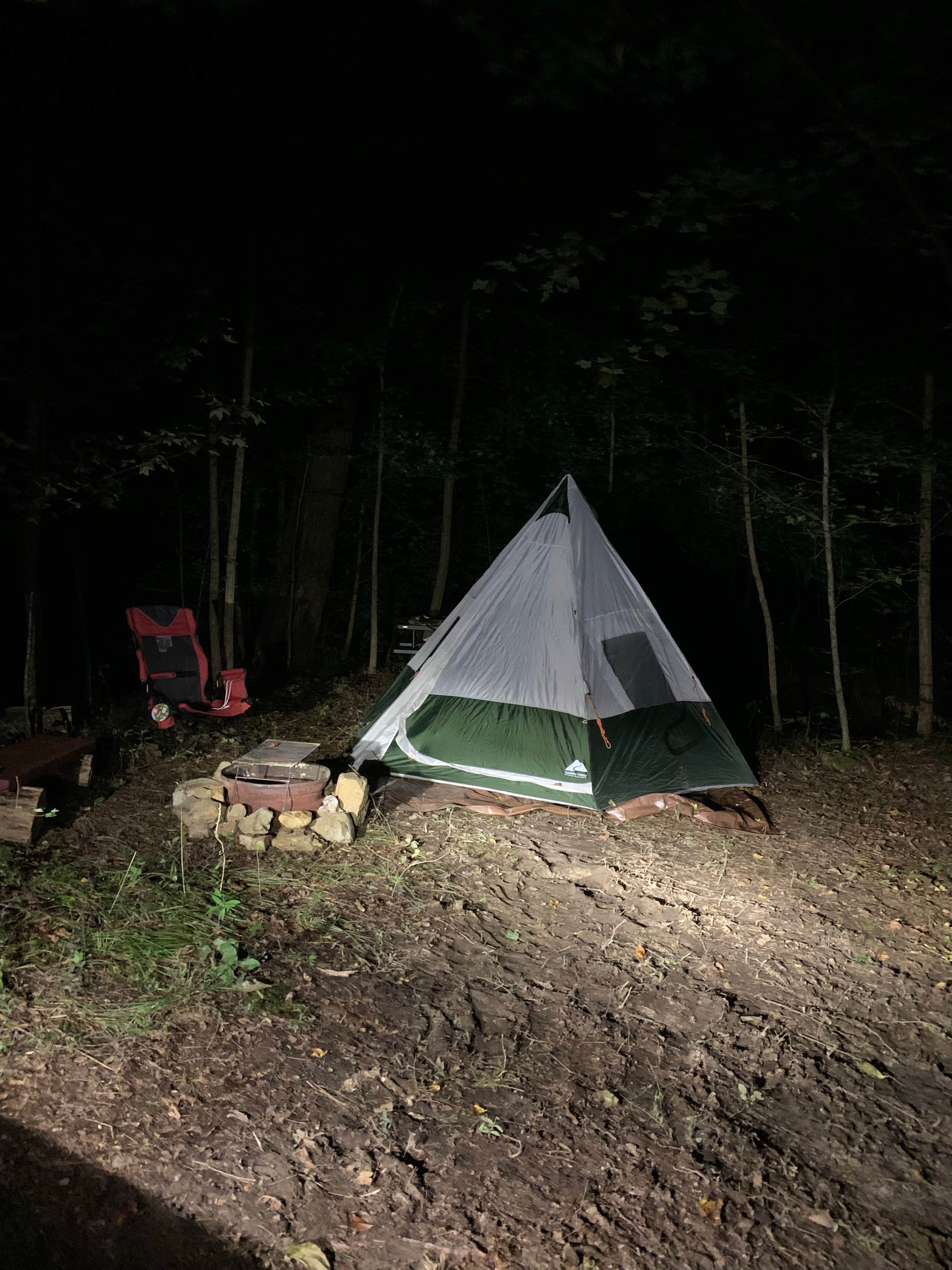 theresa E.'s photo at Woodybrooke Farm near Menlo, GA