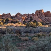 Review photo of Devils Garden Campground — Arches National Park by Laura M., May 21, 2022