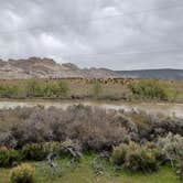 Review photo of Green River Campground — Dinosaur National Monument by kim T., May 21, 2022