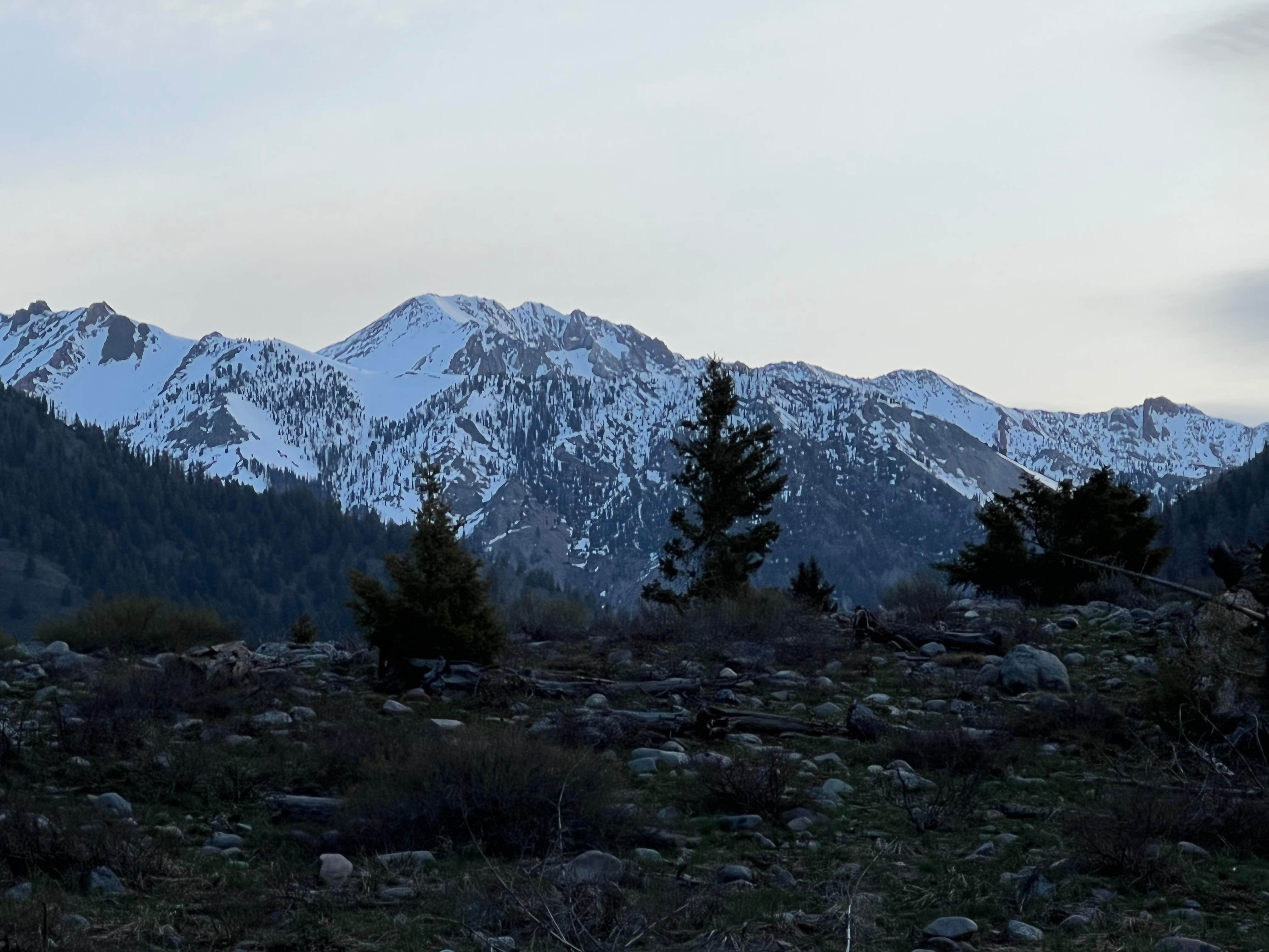 Camper submitted image from Caribou Campground - 1