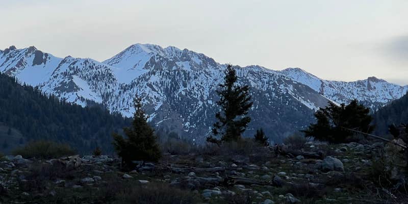 Camper submitted image from Caribou Campground