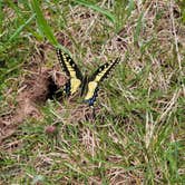 Review photo of Hermosa Park Road Dispersed by Todd J., May 21, 2022