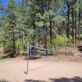 Review photo of Junction Creek Campground by Todd J., May 21, 2022