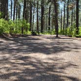 Review photo of Junction Creek Campground by Todd J., May 21, 2022