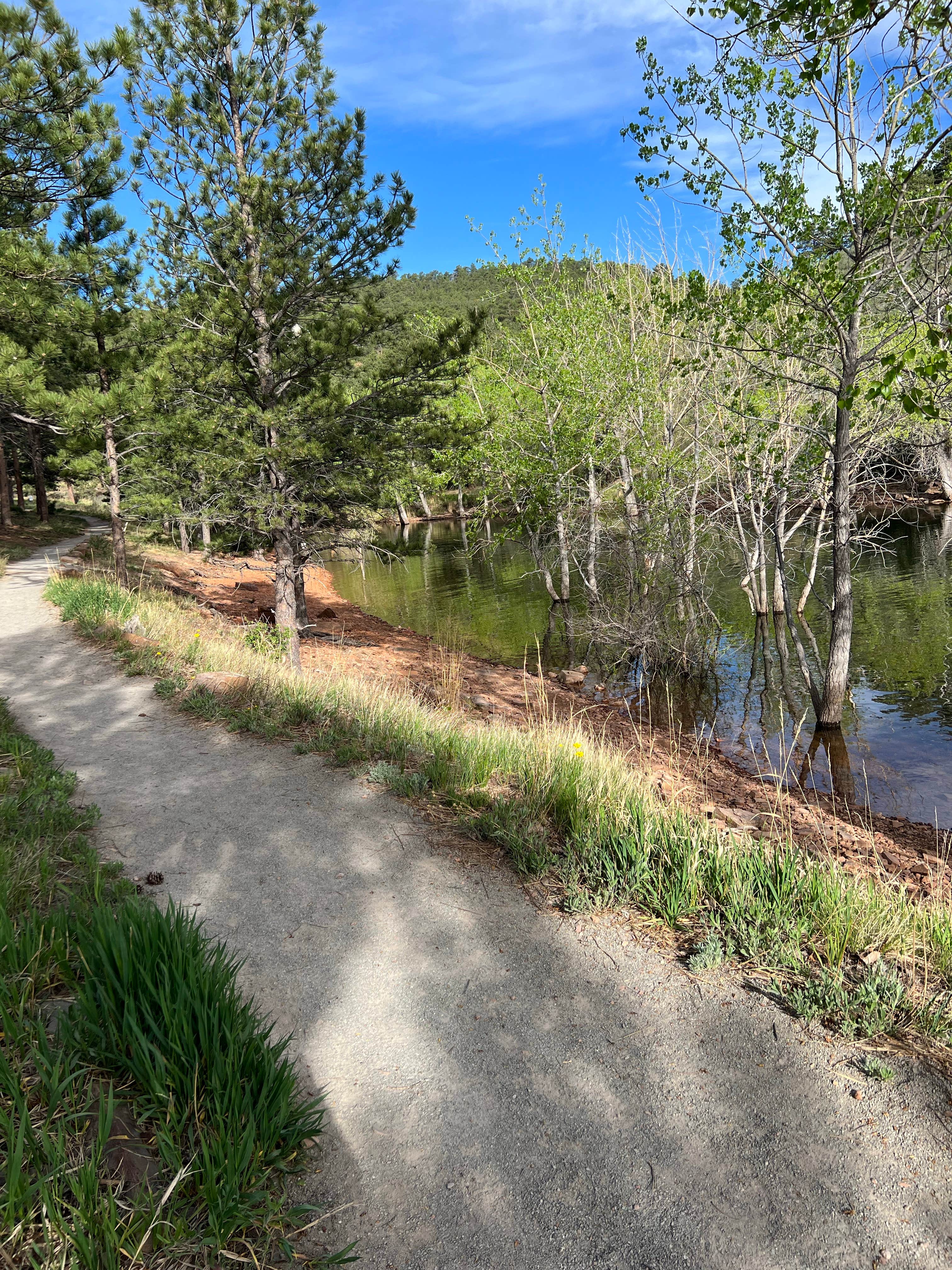 Camper-submitted photo at South Shore Campground at Carter Lake near Hygiene, CO