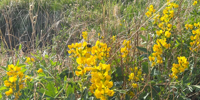 Camper submitted image from South Shore Campground at Carter Lake