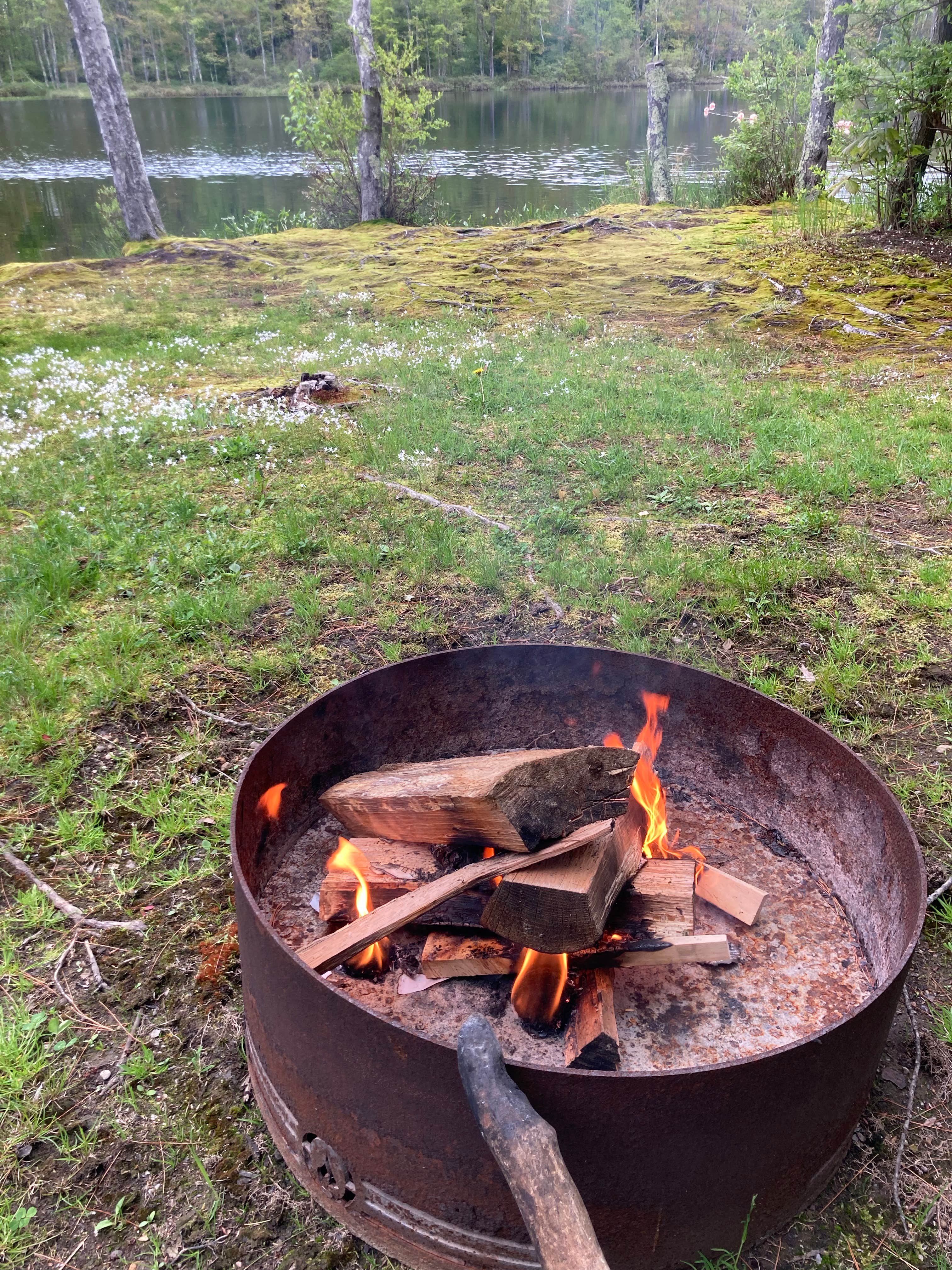 Camper-submitted photo at Beaver Dam Campground near York Beach, ME