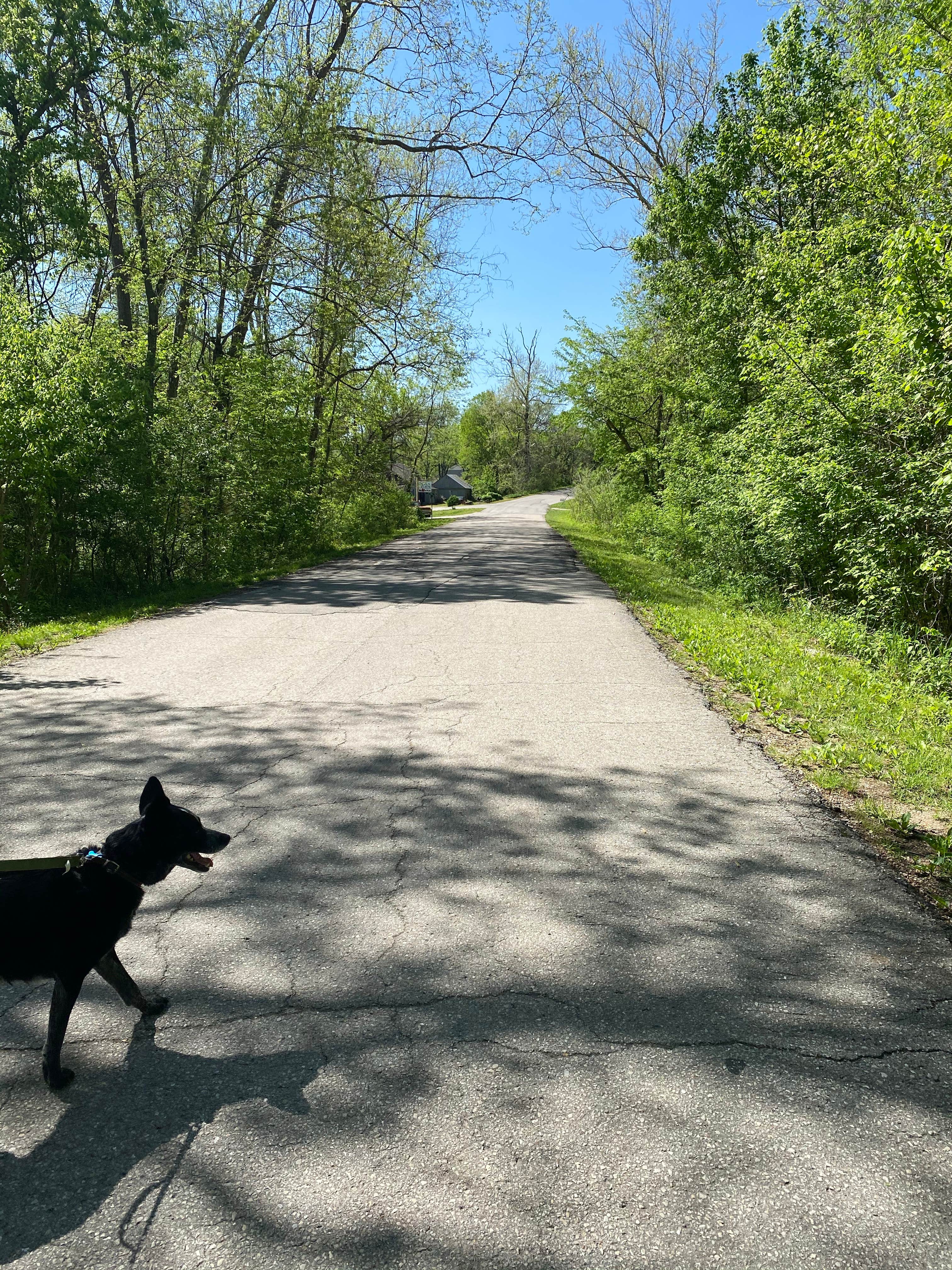 Camper-submitted photo at The Devils Elbow Campground near Dixon, MO