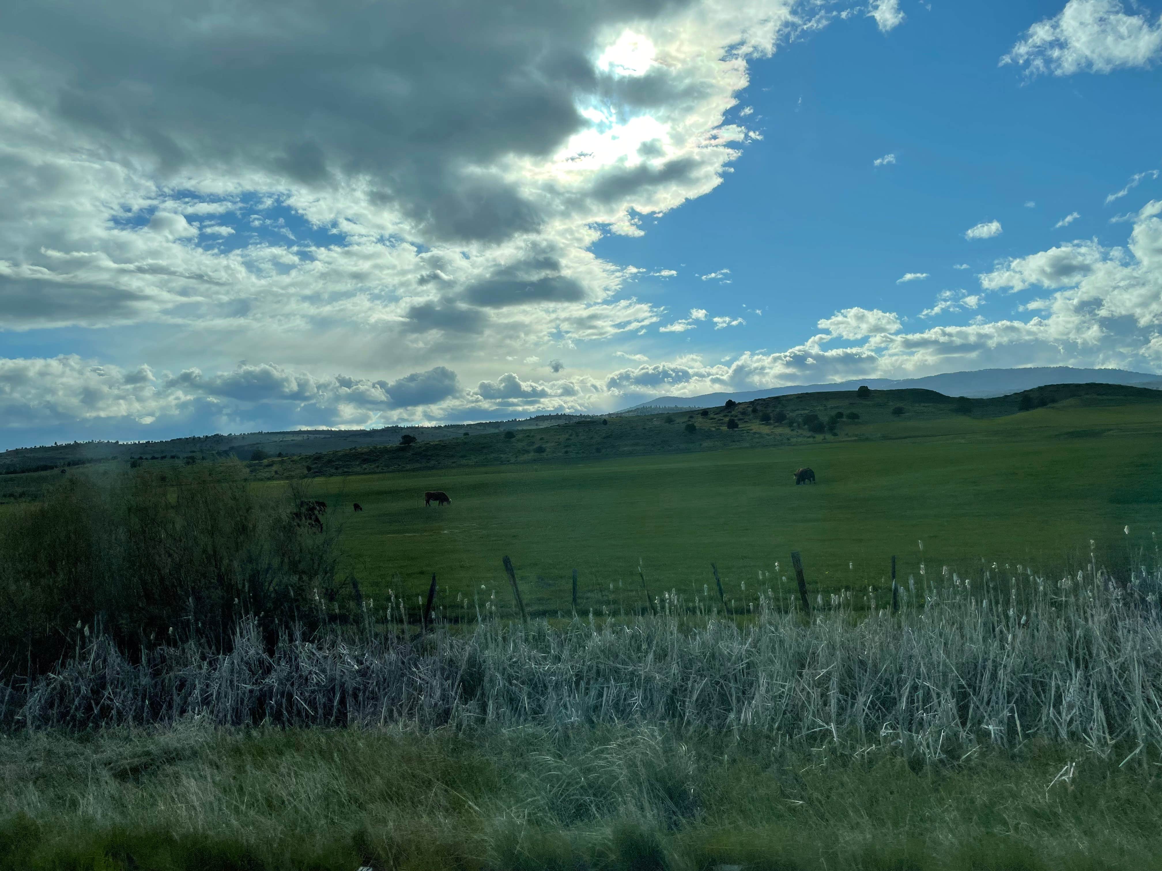 Camper-submitted photo at Southwest Shore Campground near Unity, OR