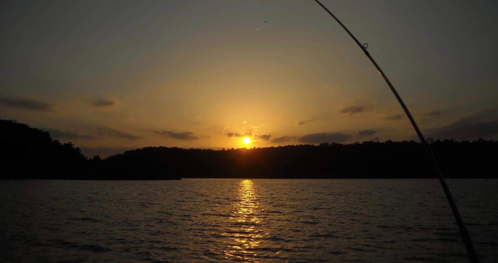 Camper submitted image from Cossatot Reefs - Gillham Lake - 3