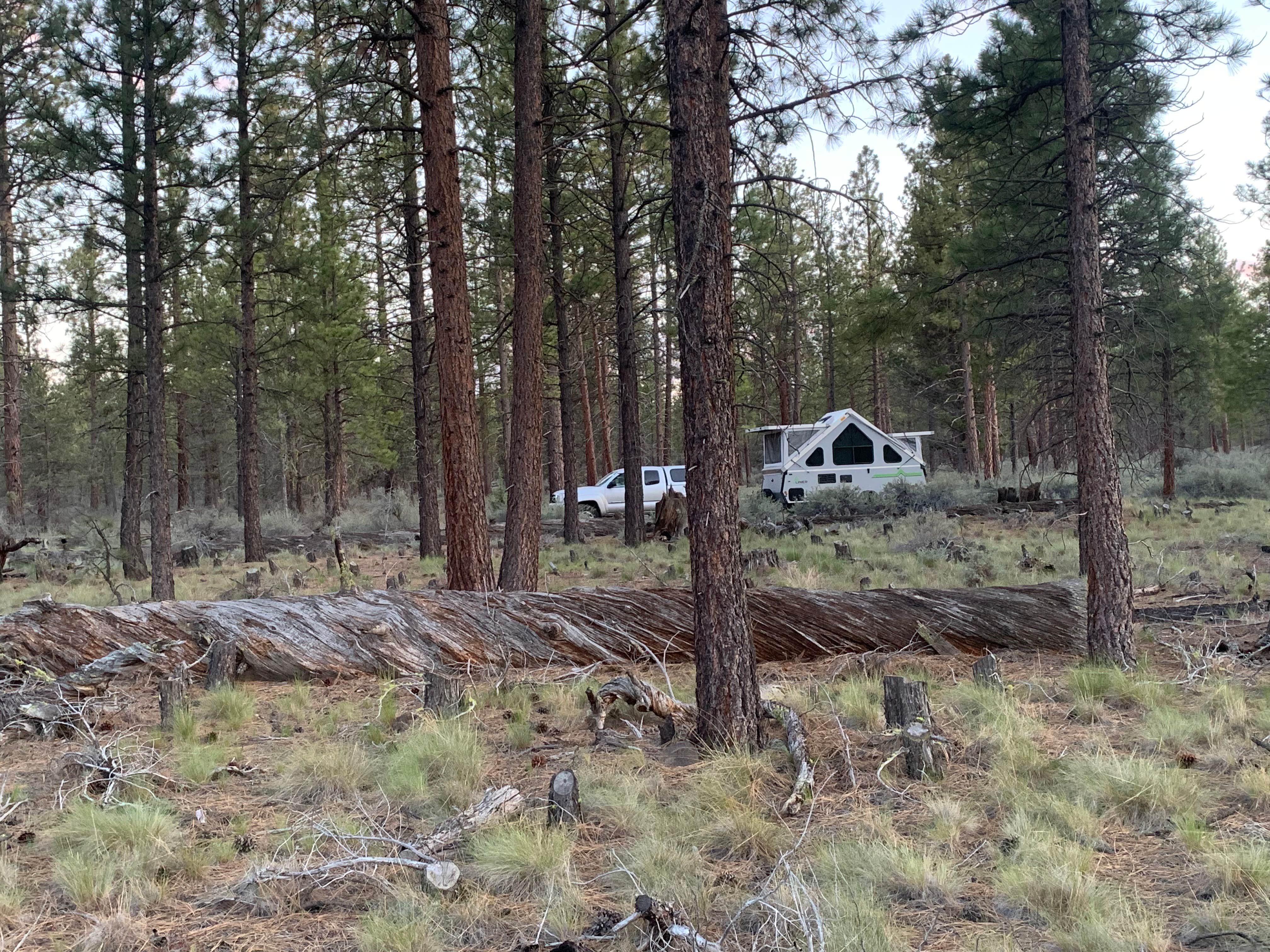Camper-submitted photo at Sisters, Oregon - Dispersed Camping near Culver, OR