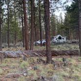 Review photo of Sisters, Oregon - Dispersed Camping by Ariel , May 21, 2022