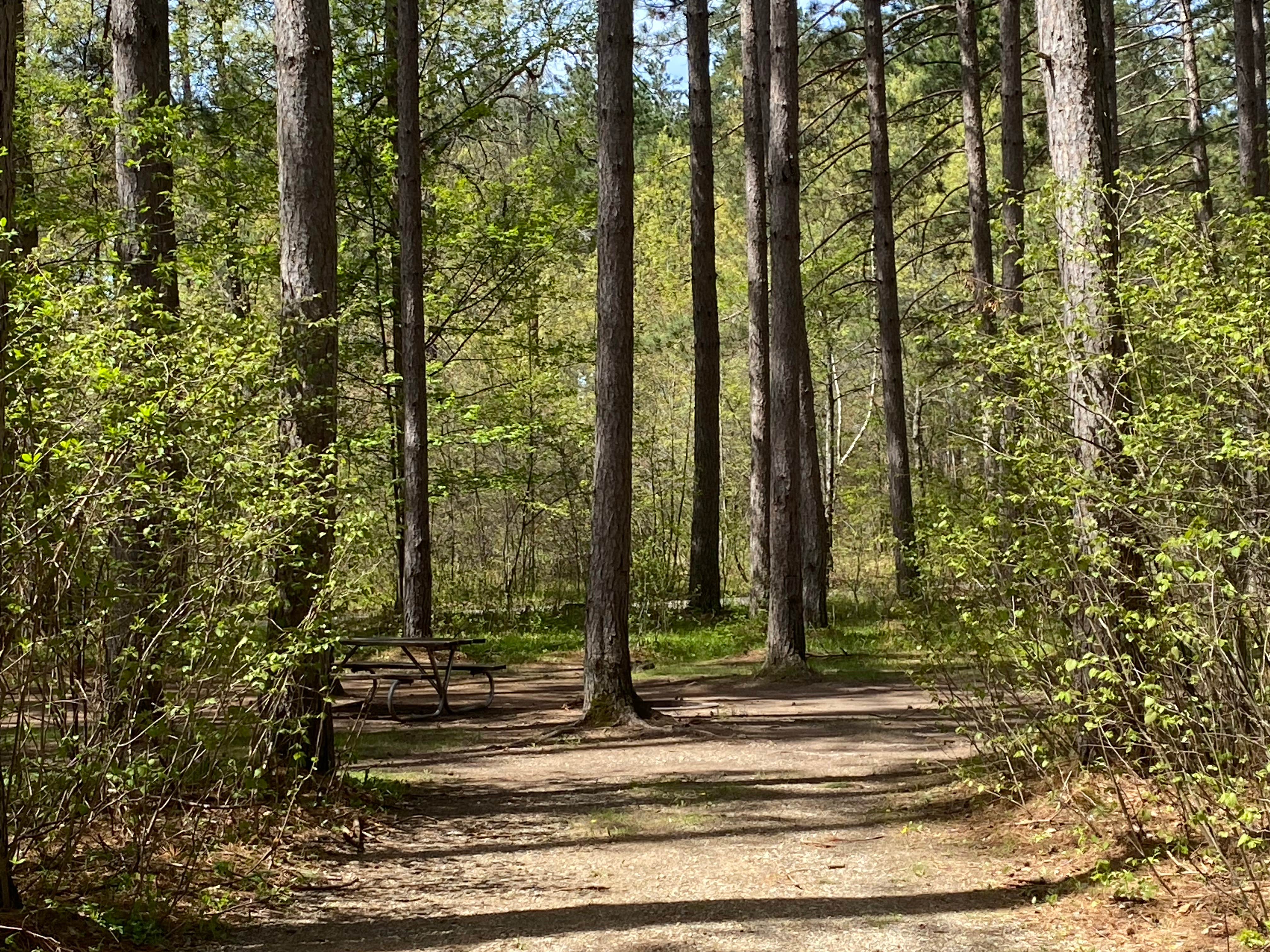 Camper-submitted photo at Twelve Foot Falls County Park near Amberg, WI