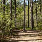 Review photo of Twelve Foot Falls County Park by Jolene L., May 21, 2022