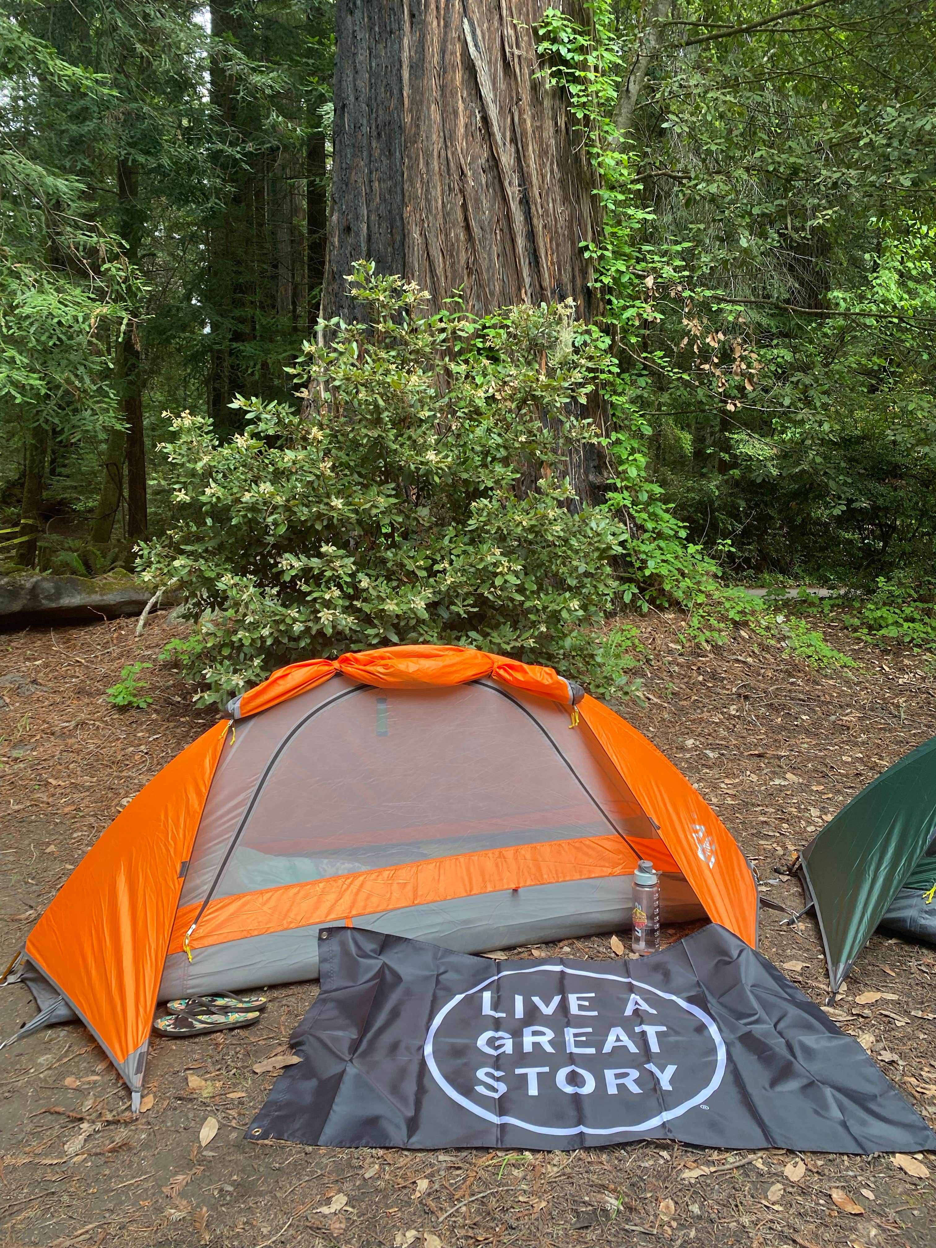 Camper-submitted photo at Van Duzen County Park - Pamplin Grove near Bridgeville, CA