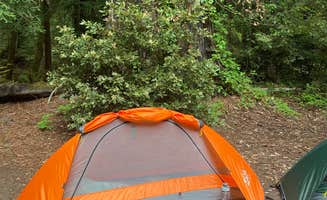 Andi M.'s photo at Van Duzen County Park - Pamplin Grove near Fields Landing, CA