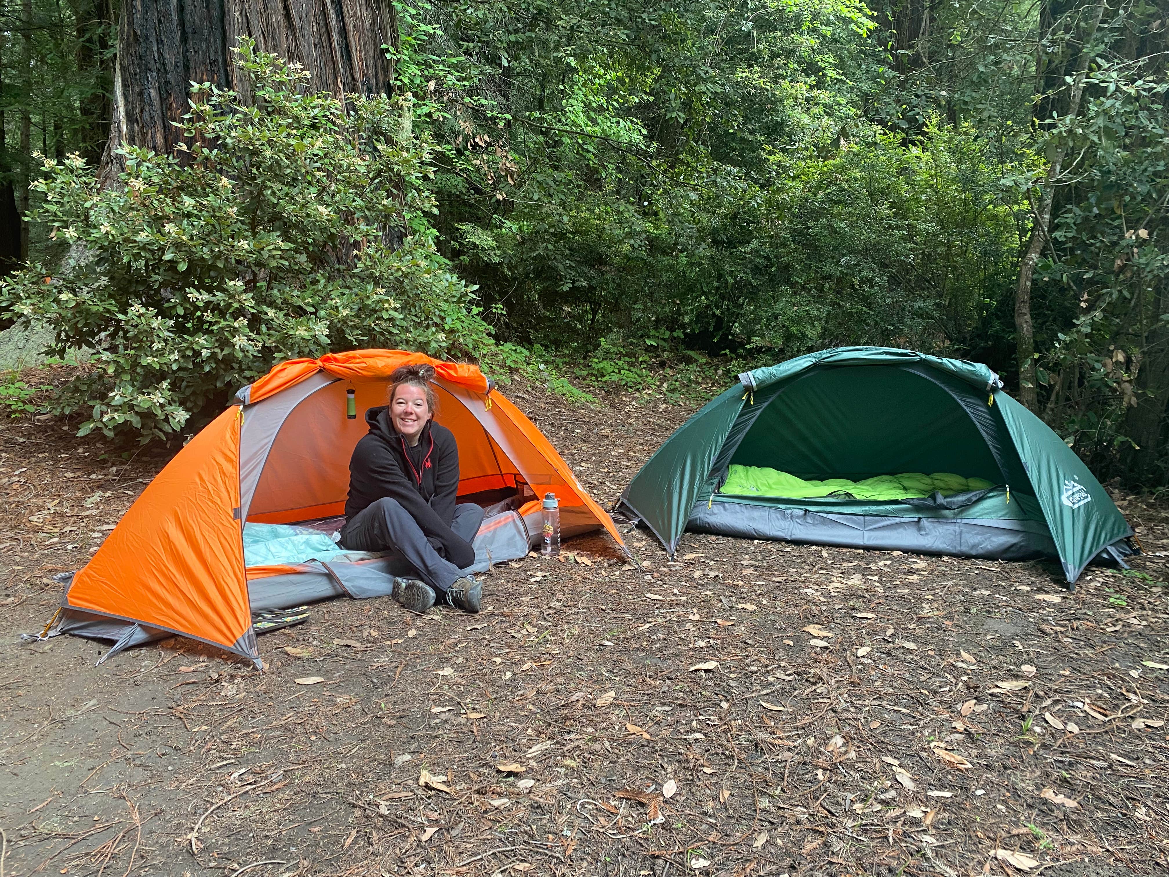 Camper-submitted photo at Van Duzen County Park - Pamplin Grove near Bridgeville, CA