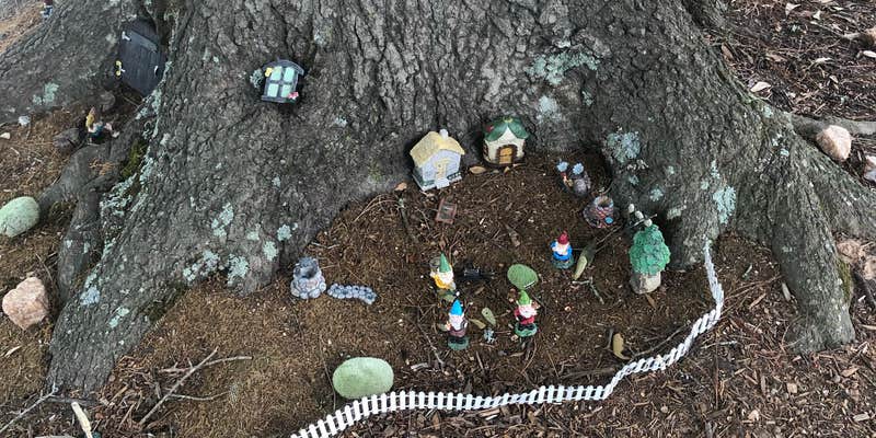 Camper submitted image from Newberry / I-26 / Sumter NF KOA