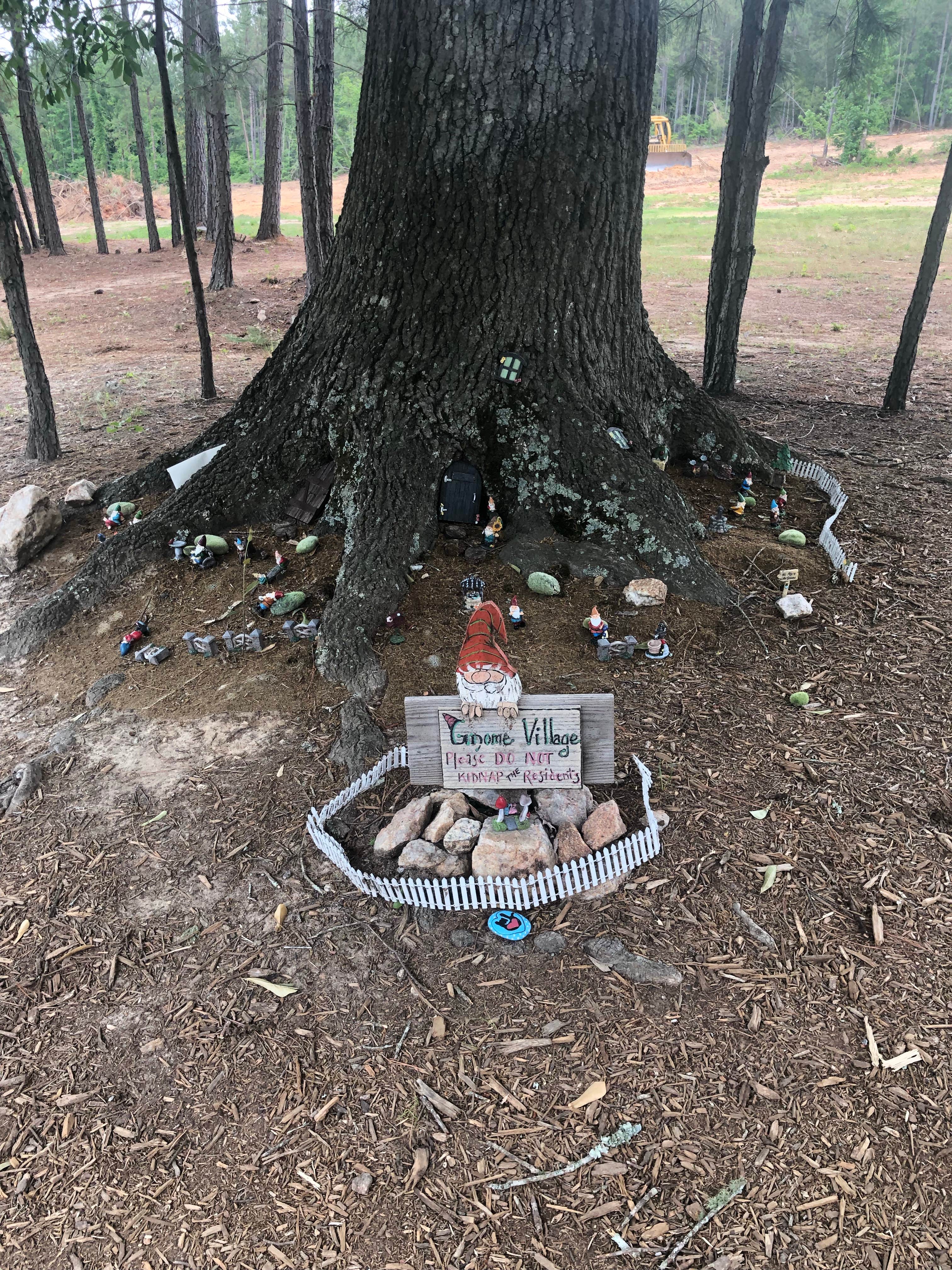 Camper-submitted photo at Newberry / I-26 / Sumter NF KOA near Great Falls, SC