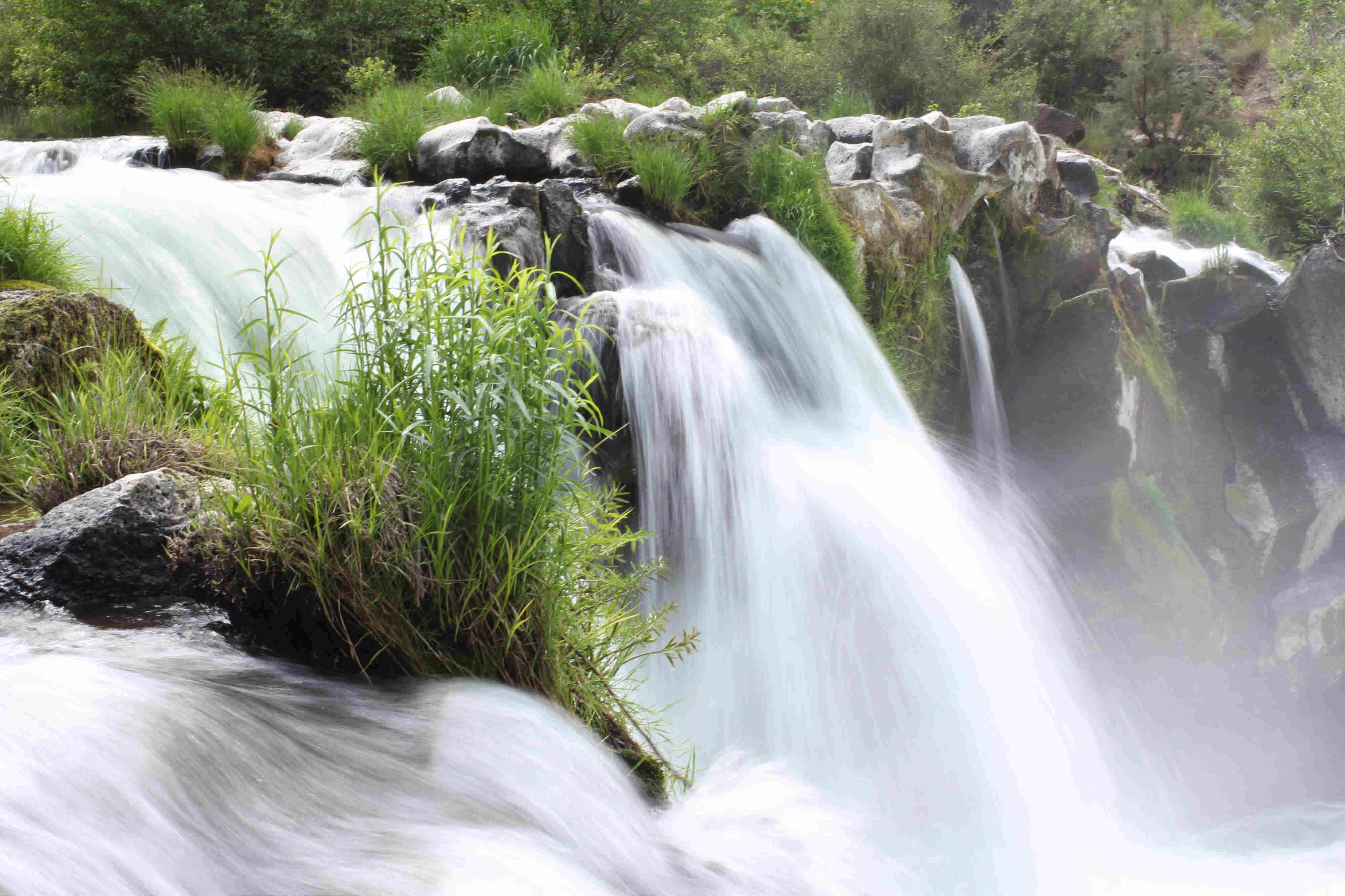 Camper submitted image from Alder Springs — Willamette National Forest - 3