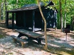 Camper submitted image from Cabin Camp 3 — Prince William Forest Park - 3